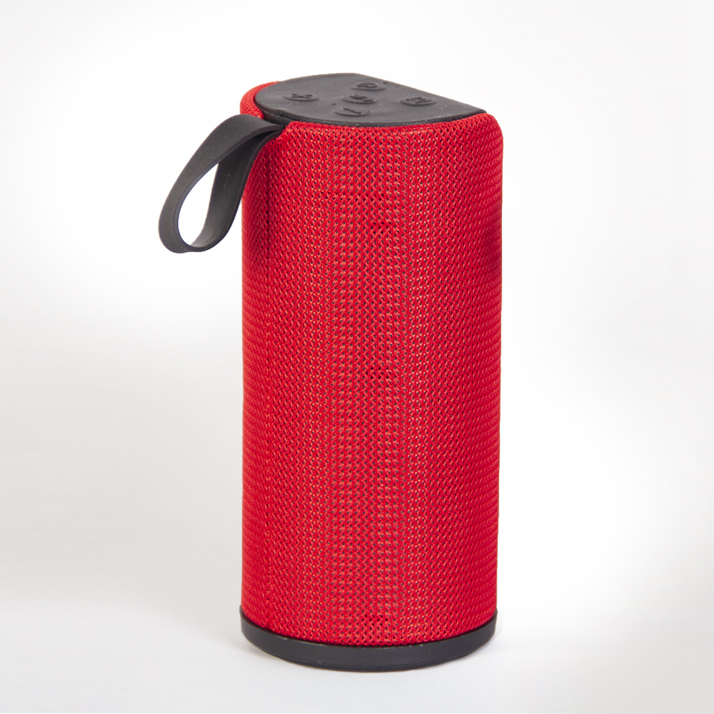 اسپیکر Portable مدل 113